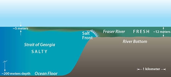 Diagram of salinity of Mississippi River