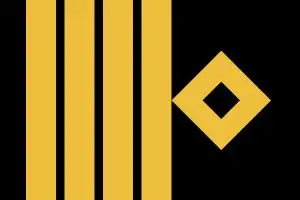 Epaulette for Captain / Master